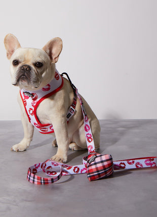Smooch My Pooch Reversible Harness