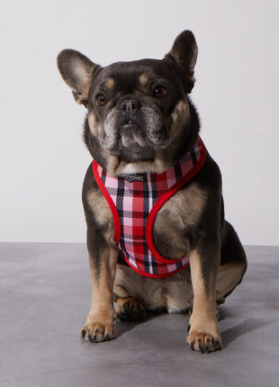 Smooch My Pooch Reversible Harness
