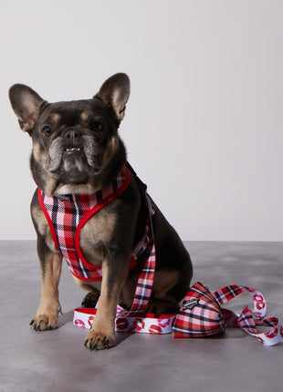 Smooch My Pooch Reversible Harness