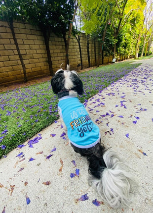 Parisian Pet 'Is It Friday Yet?' Embroidered Dog T-Shirt – Trendy Weekend Dog Apparel for Dogs & Cats, Light Blue