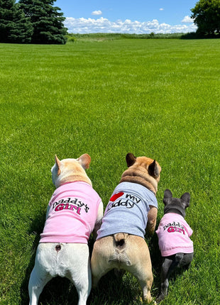 Parisian Pet 'Daddy's Girl' Pet Shirt - Dog Fashion Shirt for Dogs & Cats, Pink-Valentine's Day