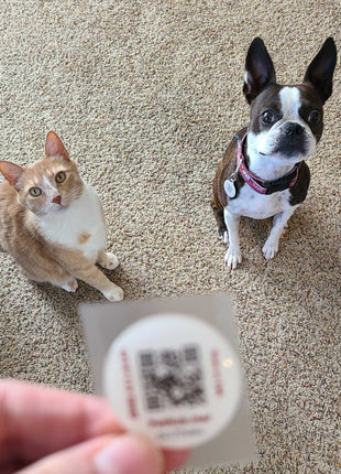 PetHub QR Pet ID Sticker – Upgrade Any Tag + Backup Pet Protection