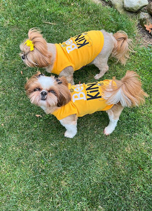 Parisian Pet 'Bee Kind' Embroidered Dog Shirt - Trendy Pet Apparel, Yellow