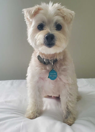 PetHub QR Pet ID Tag – Get Me Home Club