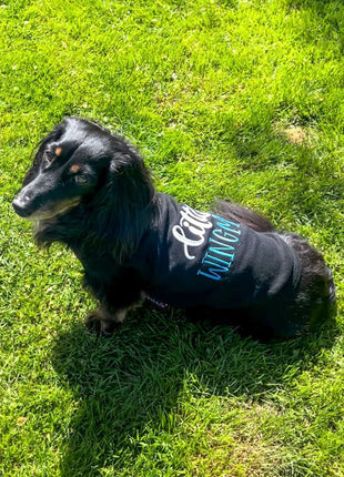 Parisian Pet 'Little Wingman' Winged Dog Shirt – Cool Adventure-Themed Shirt for Dogs & Cats, Black