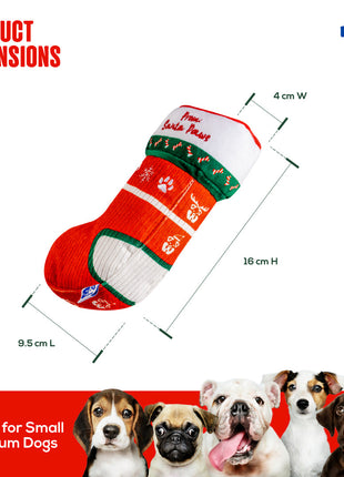 Christmas Sock