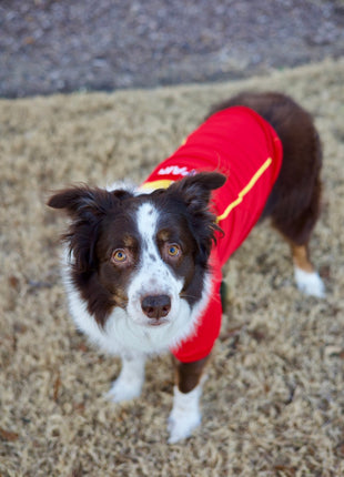 Parisian Pet 'Team Spain' Jersey for Dogs & Cats – Spain Flag-Inspired Pet Outfit, Soccer Fan Apparel for Dogs & Cats, Red and Yellow Stripes - Pup List