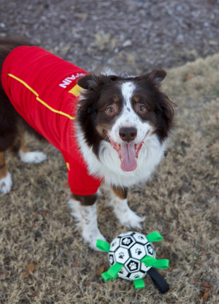 Parisian Pet 'Team Spain' Jersey for Dogs & Cats – Spain Flag-Inspired Pet Outfit, Soccer Fan Apparel for Dogs & Cats, Red and Yellow Stripes - Pup List