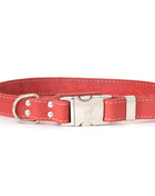Quick-Release Style Leather Collar and Leash Set