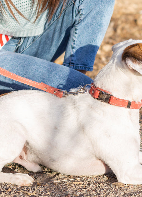 Traditional Coral Reef Leather Leash