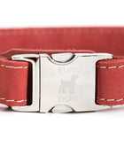 Bestseller Quick-Release Coral Reef Leather Dog Collar with Metal Buckle