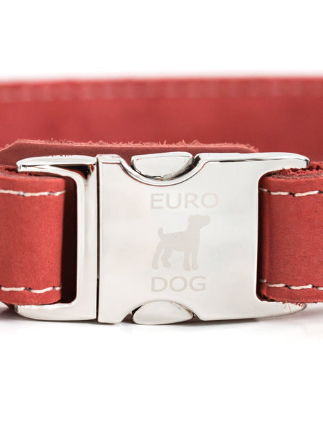 Bestseller Quick-Release Coral Reef Leather Dog Collar with Metal Buckle