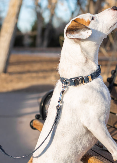 Traditional Blue Jeans Leather Leash