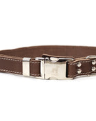 Pro Line Quick-Release Leather Dog Collar with Metal Buckle