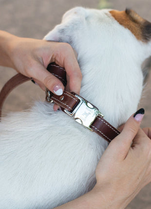 Bestseller Quick-Release Chocolate Leather Dog Collar with Metal Buckle