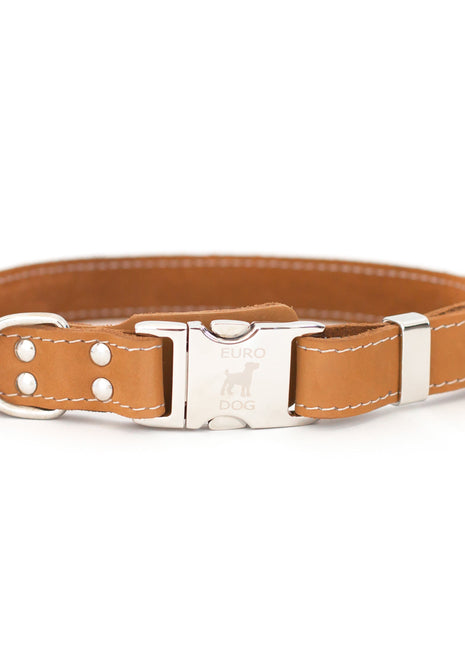 Quick-Release Style Leather Collar and Leash Set