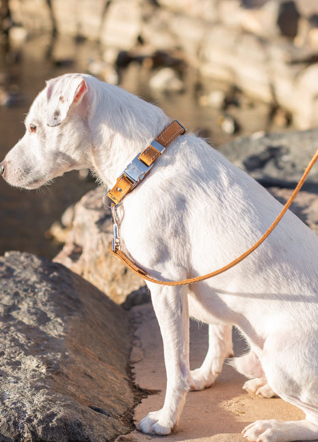 Traditional Khaki Leather Leash
