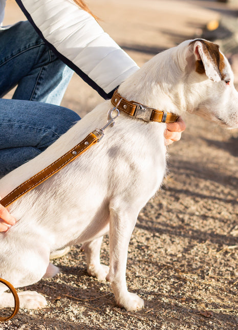 Traditional Earth Brown Leather Dog Leash