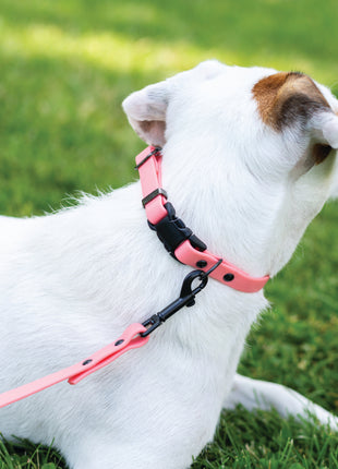 Waterproof Coral Reef Super Soft PVC Dog Collar