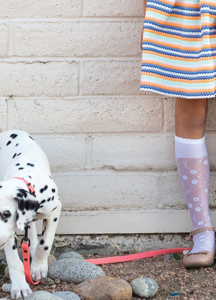 Waterproof Coral Reef Super Soft PVC Dog Leash