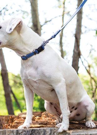 Waterproof Blue Jeans Super Soft PVC Dog Leash