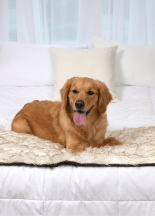 PupProtector™ Waterproof Bed Runner - White with Brown Accents
