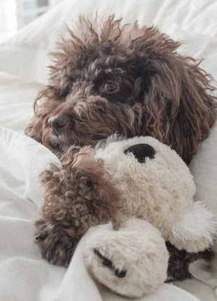 Koko Maxi Plushie - Pup List