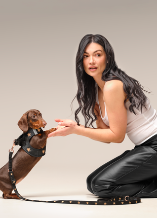 3-in-1 City Dog Leash - Rockstar