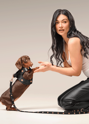 3-in-1 City Dog Leash - Rockstar - Pup List