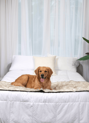PupProtector™ Waterproof Bed Runner - White with Brown Accents