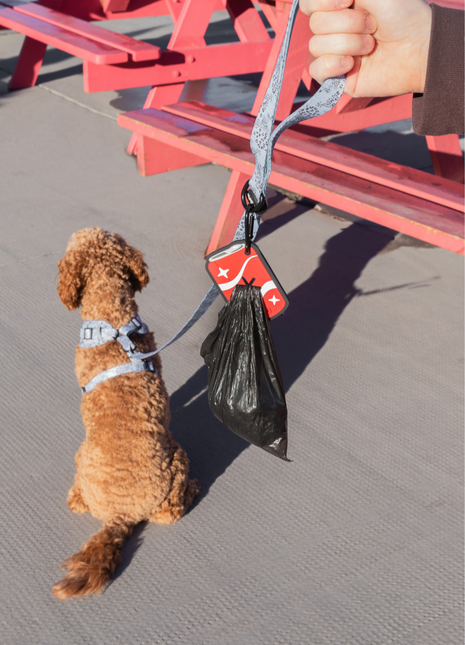 Soda Pop Poopy Loop®