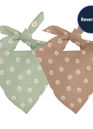 Daisy Dog Bandana