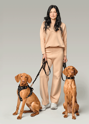3-in-1 City Dog Leash - Rockstar - Pup List