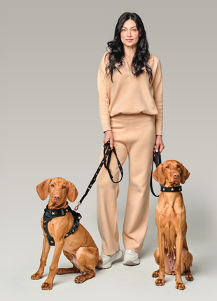 3-in-1 City Dog Leash - Rockstar