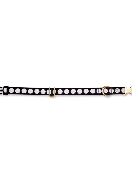 Kate Spade  Art Dots M/L Collar