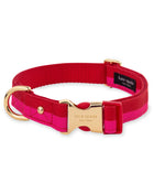 Kate Spade Red & Pink Colorblock Small Collar