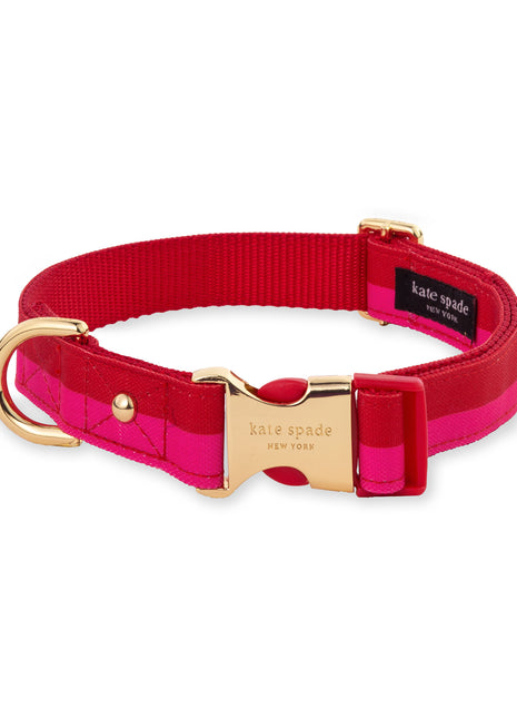 Kate Spade Red & Pink Colorblock Small Collar