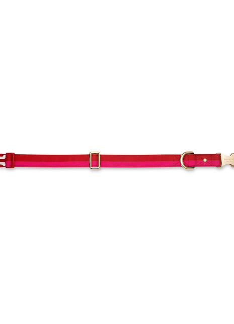 Kate Spade Red & Pink Colorblock Small Collar