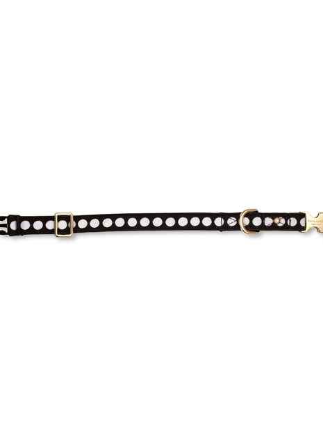 Kate Spade  Art Dots Small Collar