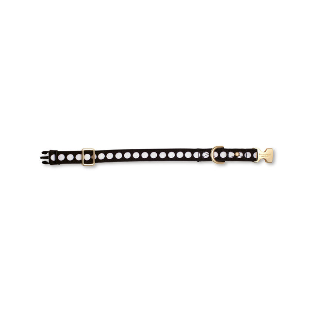 Kate Spade  Art Dots Small Collar