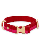 Kate Spade Red and Pink Colorblock Collar