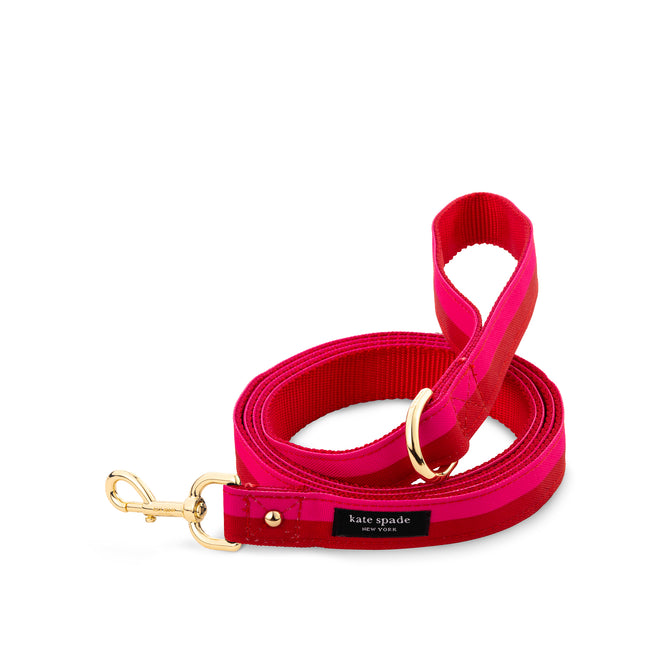 Kate Spade Red & Pink Colorblock Small Pet Leash