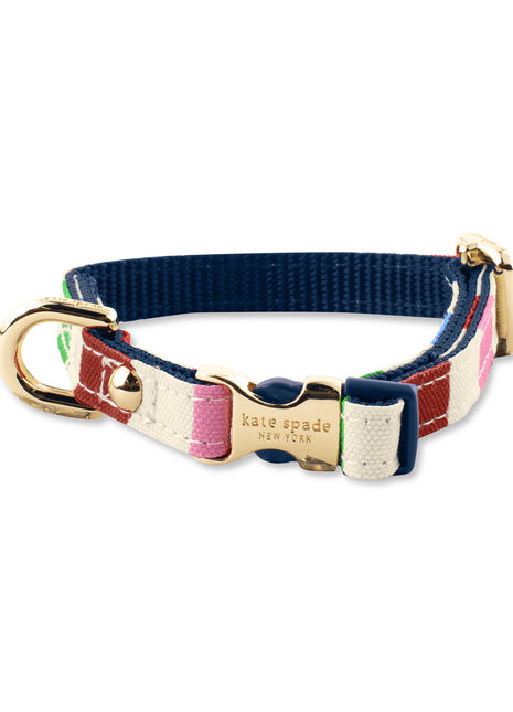 Kate Spade X-Small Adventure Stripe Collar