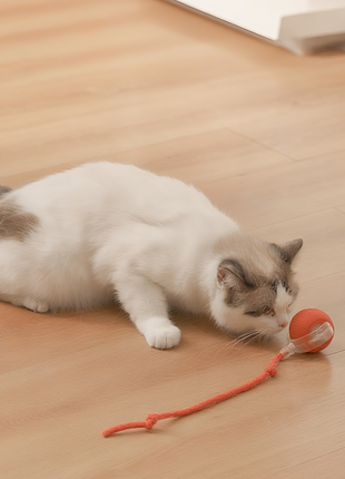 Milou & Lumi Smart Interactive Cat Toy Ball