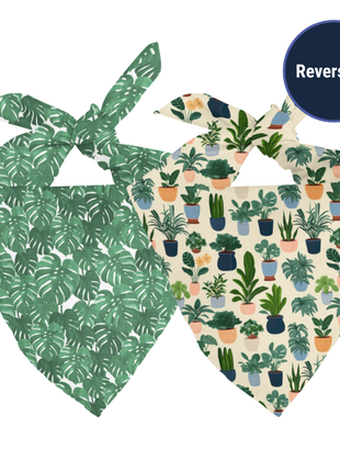 House Plant Dog Bandana