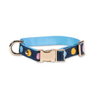 Kate Spade Watercolor Dot Small Collar