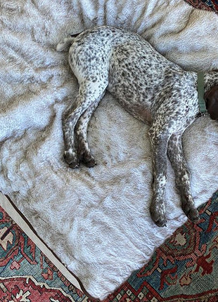 PupProtector™ Short Fur Waterproof Throw Blanket - White with Brown Accents