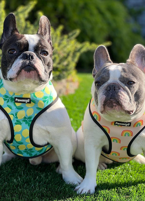 Worth The Squeeze Reversible Harness - Pup List