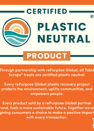 Winnie the Pooh Honey Roasted Turkey Flavor Dog Treats