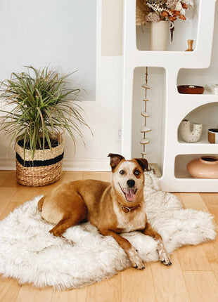 PupRug by Paw.com® Faux Fur Orthopedic Dog Bed - Curve White with Brown Accents